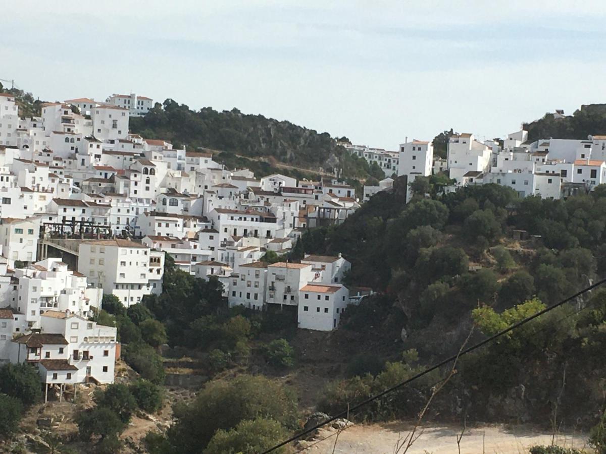 דירות Casares Vacations מראה חיצוני תמונה