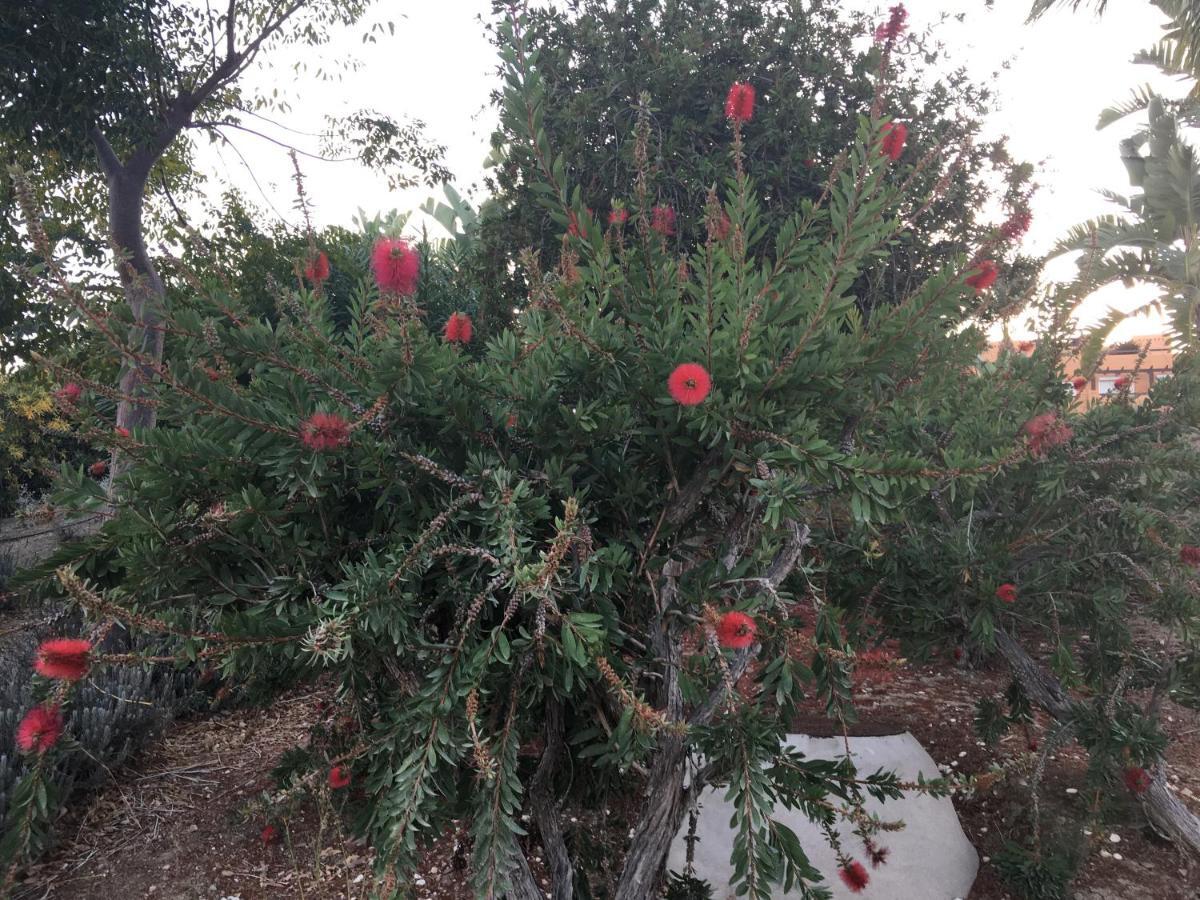 דירות Casares Vacations מראה חיצוני תמונה